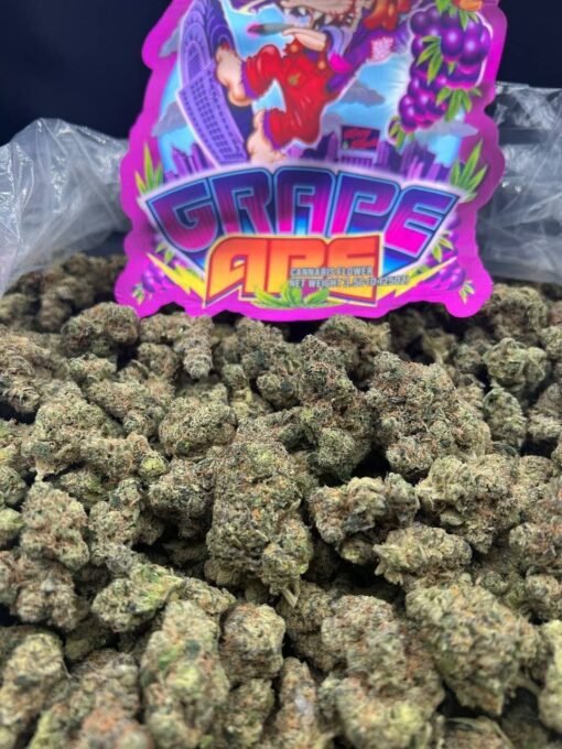 099d2f86-9b88-460a-ab7f-4c62235a59ce-510x680-1.jpeg Grape Ape - Image 1