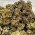 Granddaddy Purple Strain