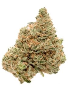 Buy Durban Poison