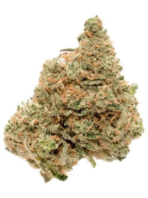 171214_38919_durbanpoison_saf_1-2-768x1024-1-510x680-1.jpg Buy Durban Poison Strain near me - Image 1