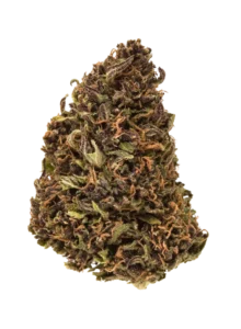 Buy captain jack strain