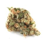 Girl Scout Cookies Strain