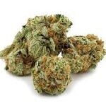 Blue Dream Strain
