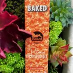 BAKED- Premium THC Oil 2g Disposable- FRENCH COOKIES