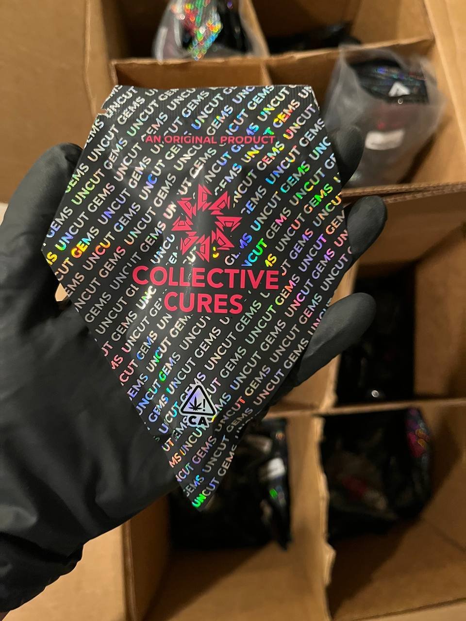 img_2263.jpg Collective Cures - Image 1