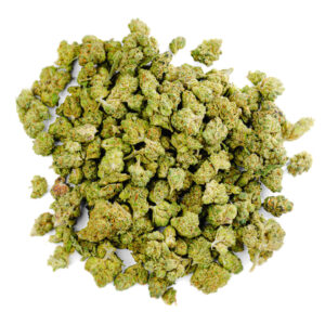 sativa weed strain