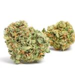 Zkittles Strain (Skittles Weed Strain)