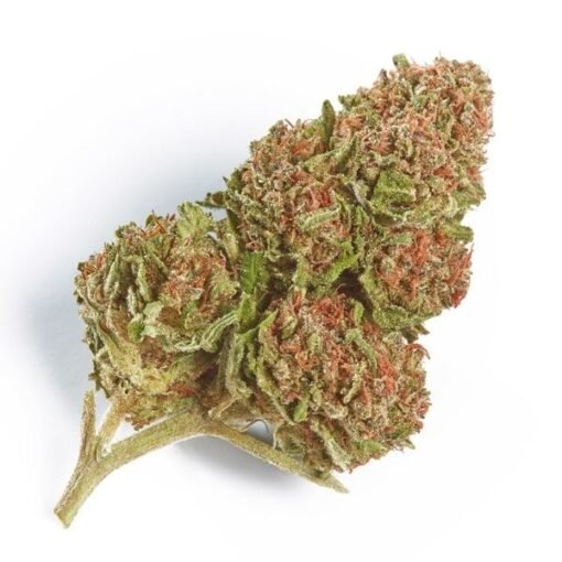 northern-lights-510x510-1.jpg Northern Lights Strain - Image 1