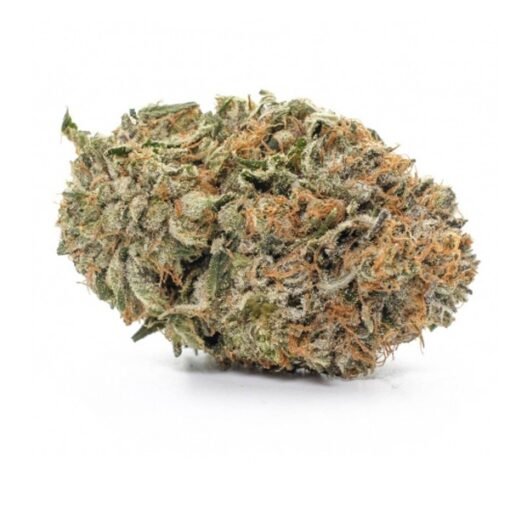 zzz-13-510x510-1.jpg Gelato - Image 1