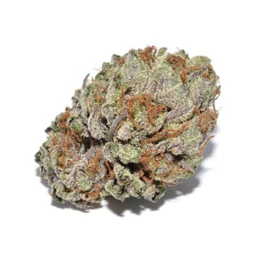 zzz-20-510x510-1.jpg Hindu Kush - Image 1